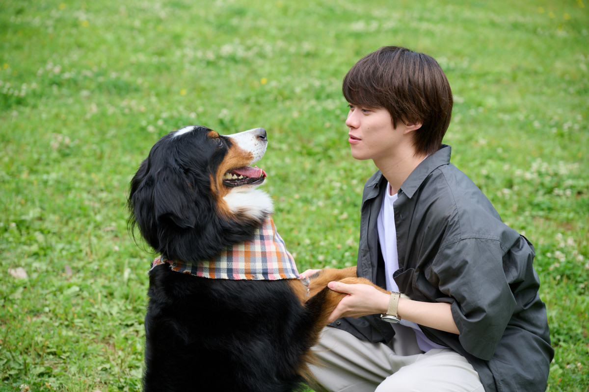 大橋和也『リベンジ・スパイ』第2話の見どころは「きゃあー!…言えない(笑)」 渋谷凪咲“花”の素顔にドキドキ